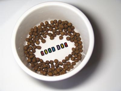 dog dish